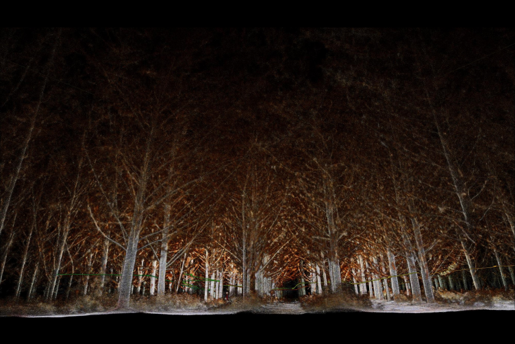 빠른 속도와 정확도 높은 에메센트 호버맵 3D스캐너로 나무 산림 하부 3D스캐닝