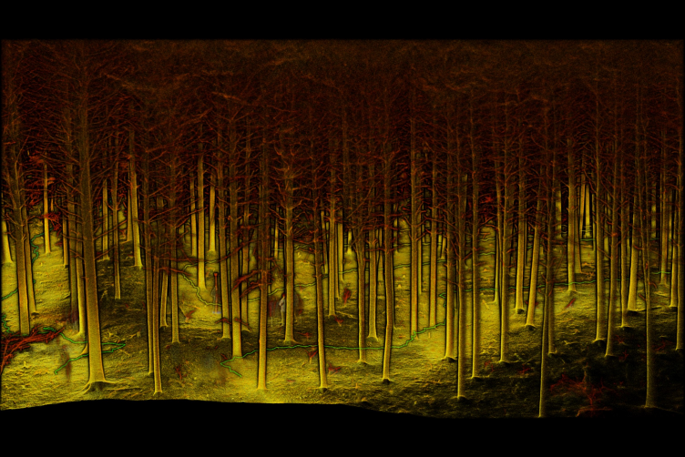 국내 유일 Non-GPS 드론라이다 호버맵 Hovermap으로 forest 산림 3D스캐닝